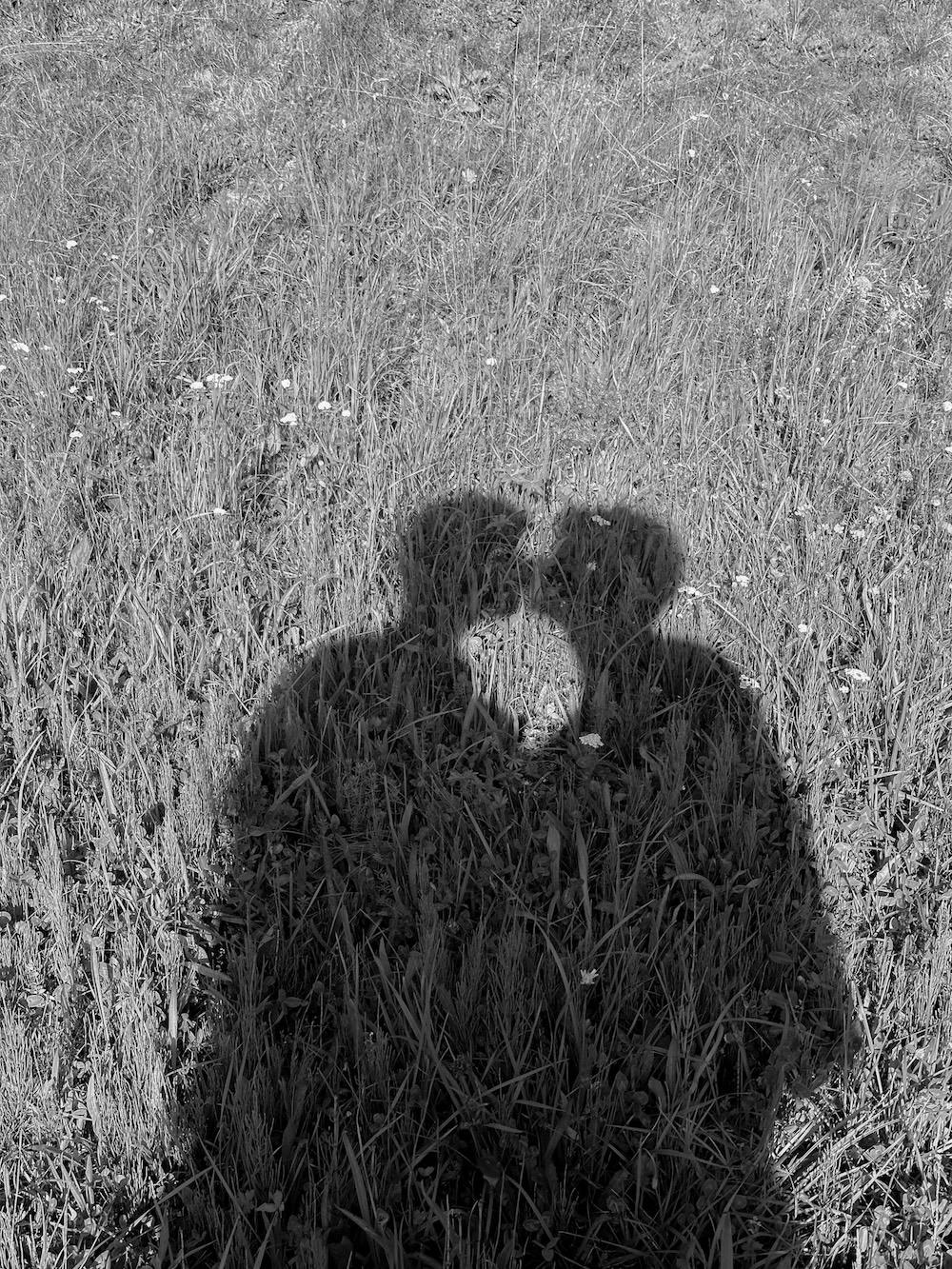A photo of the shadow on the grass of two people kissing